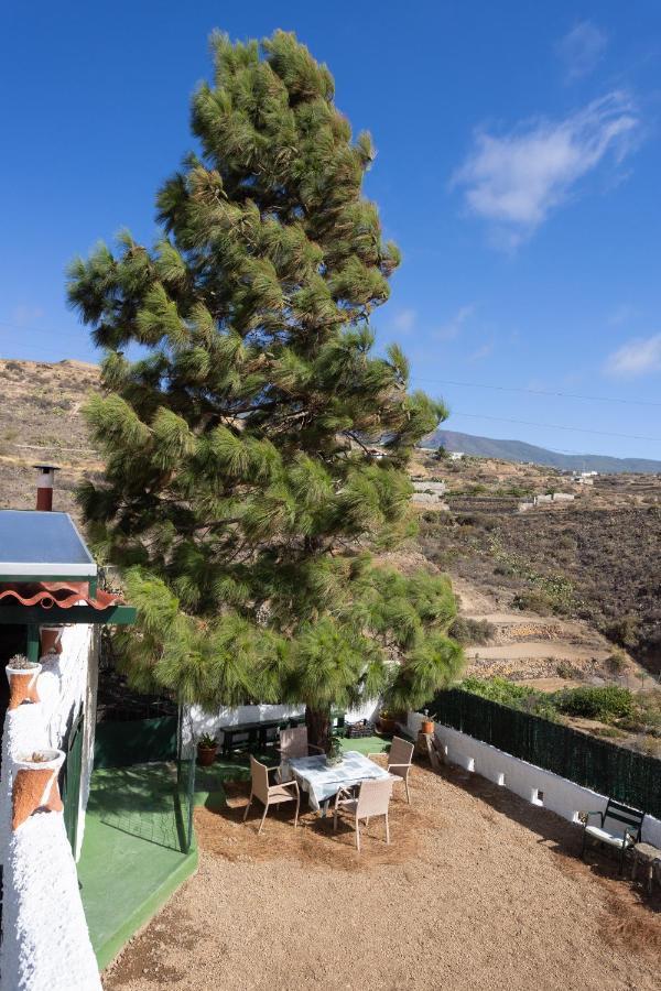 La Zarza Rural Experience By Sunkeyrents Vila Santa Cruz de Tenerife Exterior foto
